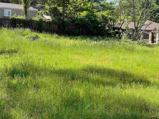 TBD Bayside Dr, Frankston, TX 75763