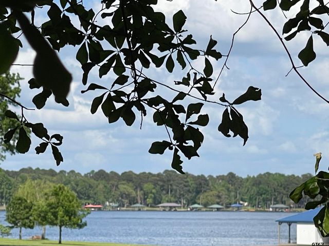 TBD Bayside Dr, Frankston, TX 75763
