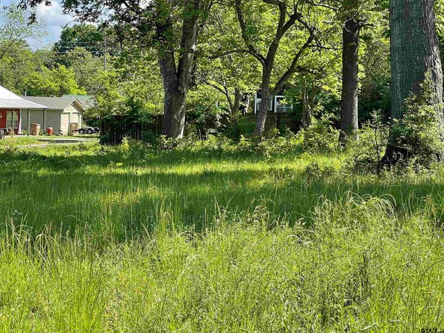 TBD Bayside Dr, Frankston, TX 75763