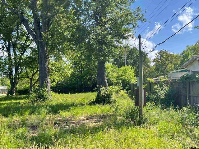 TBD Bayside Dr, Frankston, TX 75763