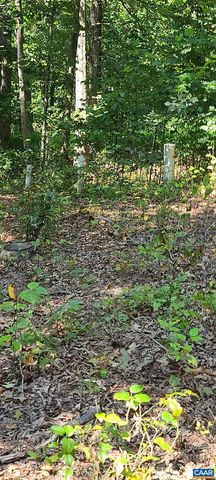 12 LANGDON WOODS DR, Dyke, VA 22935