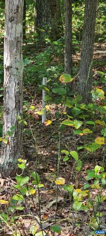 12 LANGDON WOODS DR, Dyke, VA 22935