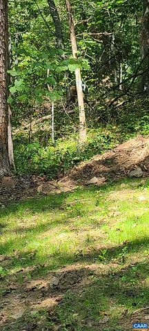 12 LANGDON WOODS DR, Dyke, VA 22935