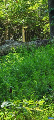 12 LANGDON WOODS DR, Dyke, VA 22935