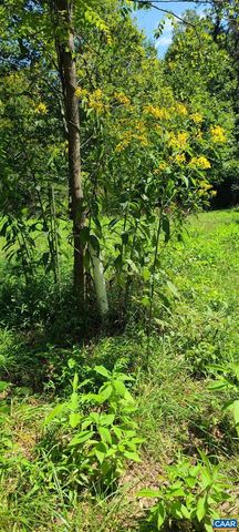 12 LANGDON WOODS DR, Dyke, VA 22935