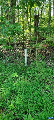 12 LANGDON WOODS DR, Dyke, VA 22935