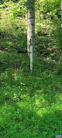 12 LANGDON WOODS DR, Dyke, VA 22935