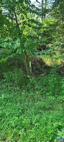 12 LANGDON WOODS DR, Dyke, VA 22935