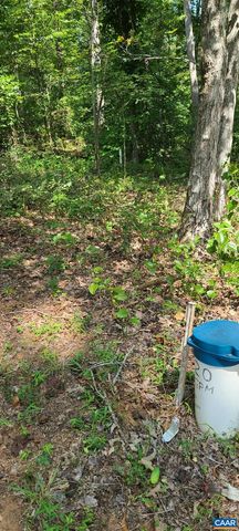 12 LANGDON WOODS DR, Dyke, VA 22935