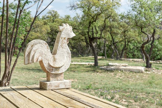 8717 South View RD, Austin, TX 78737