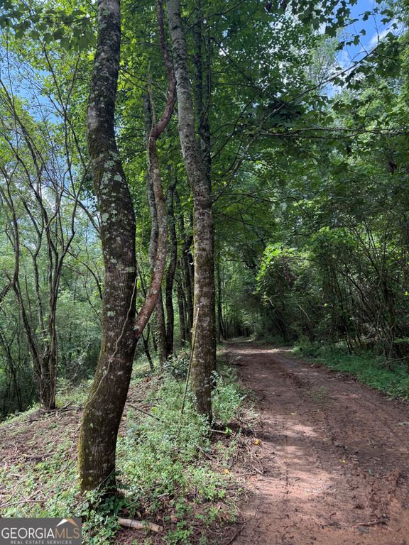 683 Jess Hunt Road, Cleveland, GA 30528