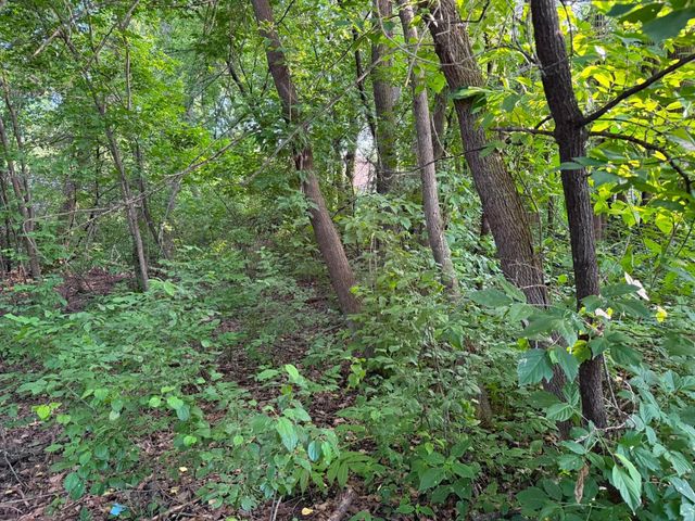 TBD 26TH Street N, Oakdale, MN 55128