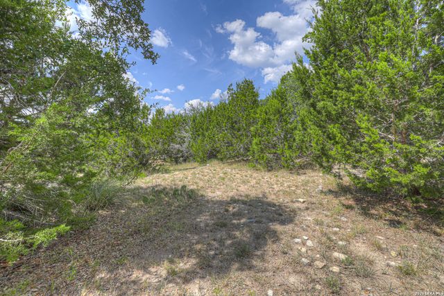 257 Berry Oaks Dr, Bulverde, TX 78163