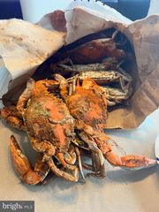 12623 SHELL MILL RD #54, Bishopville, MD 21813