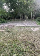 11310 Sandhurst Drive, Houston, TX 77048