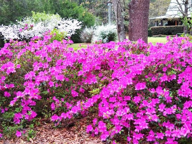 1851 I.G. Lanier Road, Pembroke, GA 31321