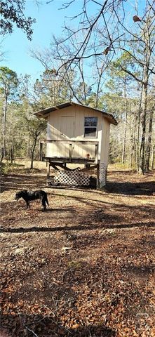 1851 I.G. Lanier Road, Pembroke, GA 31321