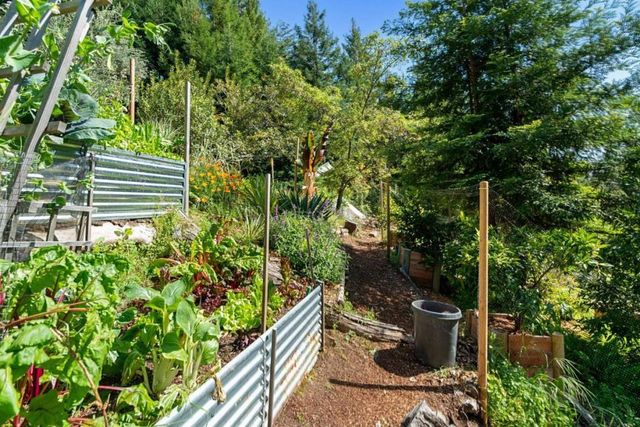 24101 Mountain Charlie Road, Los Gatos, CA 95033