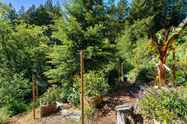 24101 Mountain Charlie Road, Los Gatos, CA 95033