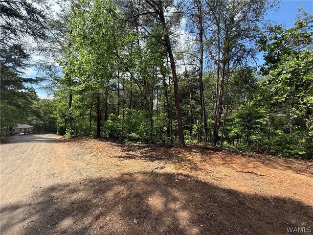 13809 Highway 216, Cottondale, AL 35453