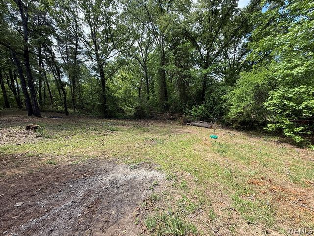 13809 Highway 216, Cottondale, AL 35453
