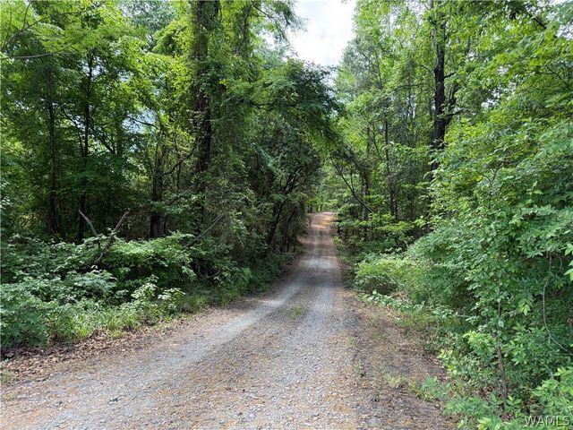 13809 Highway 216, Cottondale, AL 35453