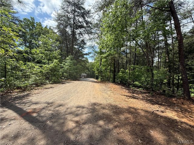 13809 Highway 216, Cottondale, AL 35453