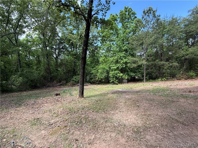 13809 Highway 216, Cottondale, AL 35453