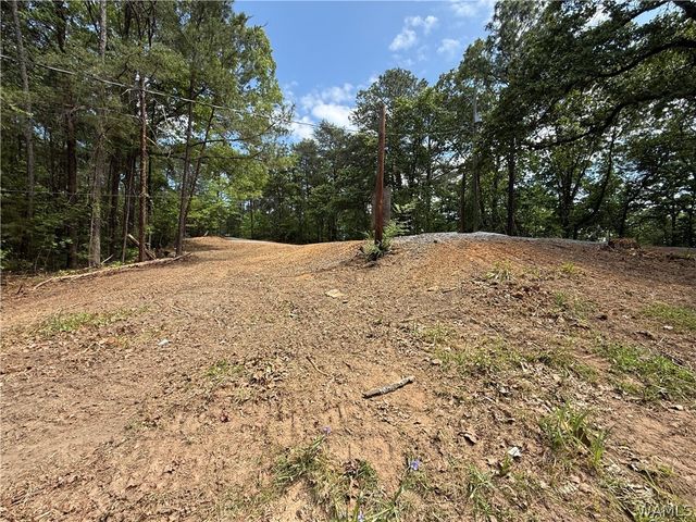 13809 Highway 216, Cottondale, AL 35453
