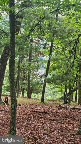 80 TROFTON HOLLOW CT, Great Cacapon, WV 25422