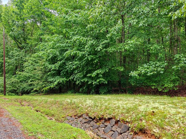 0 Summerwood Dr, Springville, TN 38256