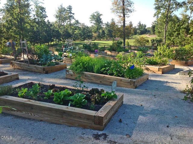 208 Whisk Fern Way, Holly Springs, NC 27540