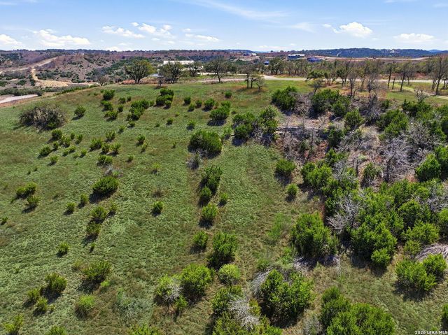 207 Majestic Hills, Blanco, TX 78606