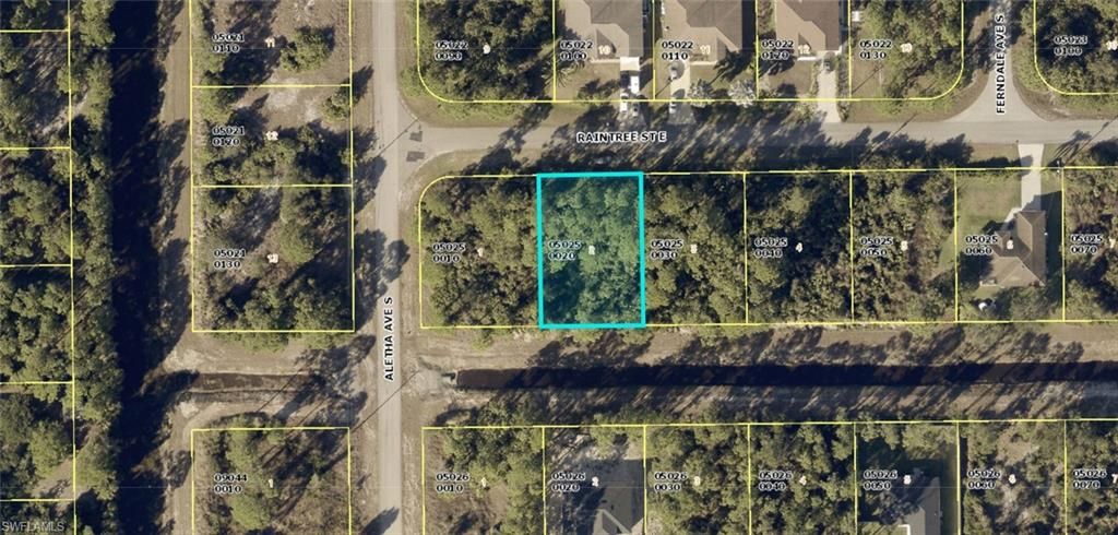 506 Raintree ST E, LEHIGH ACRES, FL 33974 — exterior