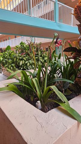 6801 Harding Ave 217, Miami Beach, FL 33141