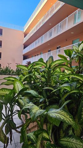 6801 Harding Ave 217, Miami Beach, FL 33141