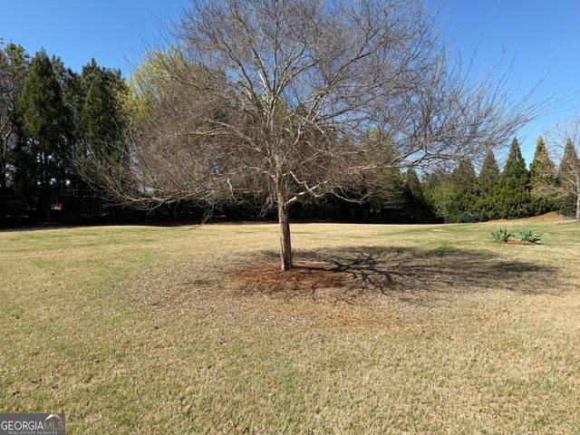 1320 Summer Hollow Road, Greensboro, GA 30642
