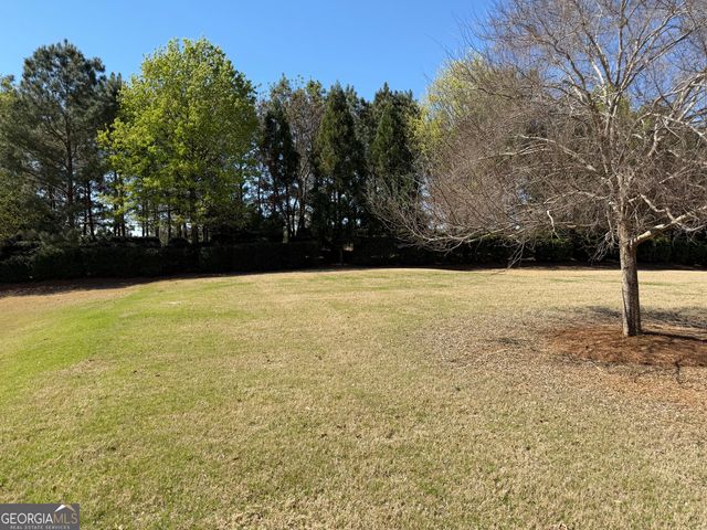 1320 Summer Hollow Road, Greensboro, GA 30642