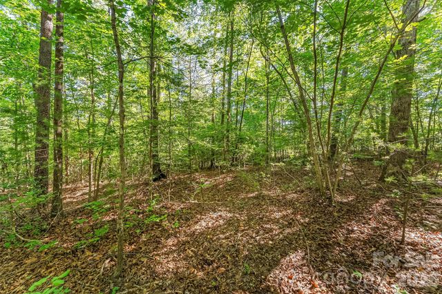 2229 Old Highway 10 Highway, Nebo, NC 28761