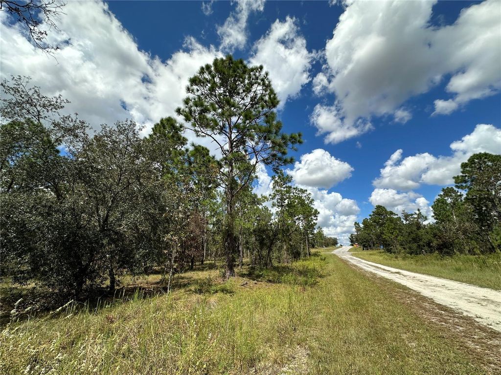 TBD SE 134TH COURT, Dunnellon, FL 34431