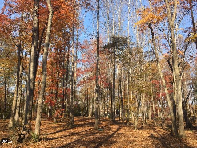 4583 Lambeth Mill Road, Bennett, NC 27208