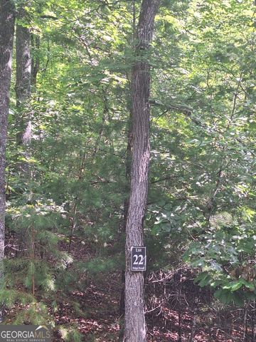 LOT 22 Meadow Brook Trail, Morganton, GA 30560