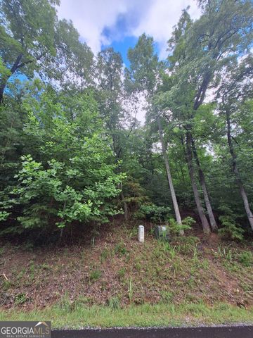 LOT 22 Meadow Brook Trail, Morganton, GA 30560