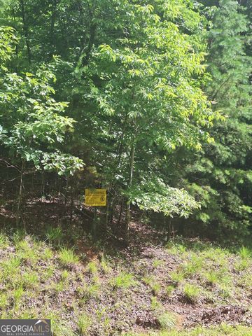 LOT 22 Meadow Brook Trail, Morganton, GA 30560