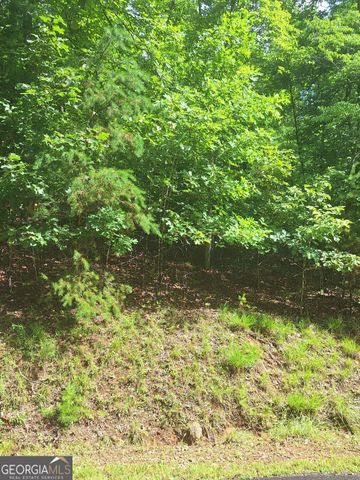 LOT 22 Meadow Brook Trail, Morganton, GA 30560