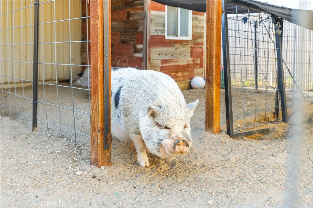 Image 31 of property listing at 4815 W Avenue L14, Lancaster, CA 93536