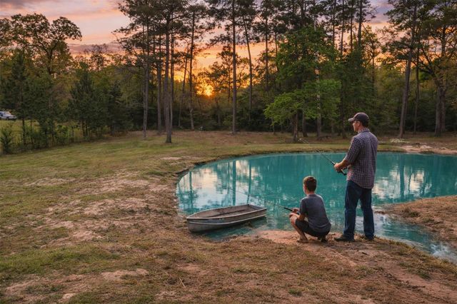 14770 Peterson Road, Montgomery, TX 77356