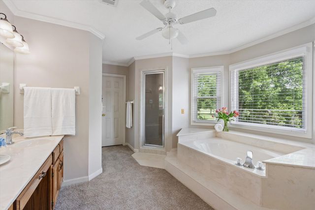 10552 EIDER CV, Collierville, TN 38017