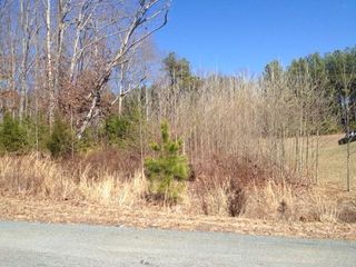 Lot 21 Sunview CIR, Moneta, VA 24121