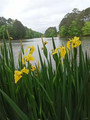 2382 Merrymount Drive, Suwanee, GA 30024